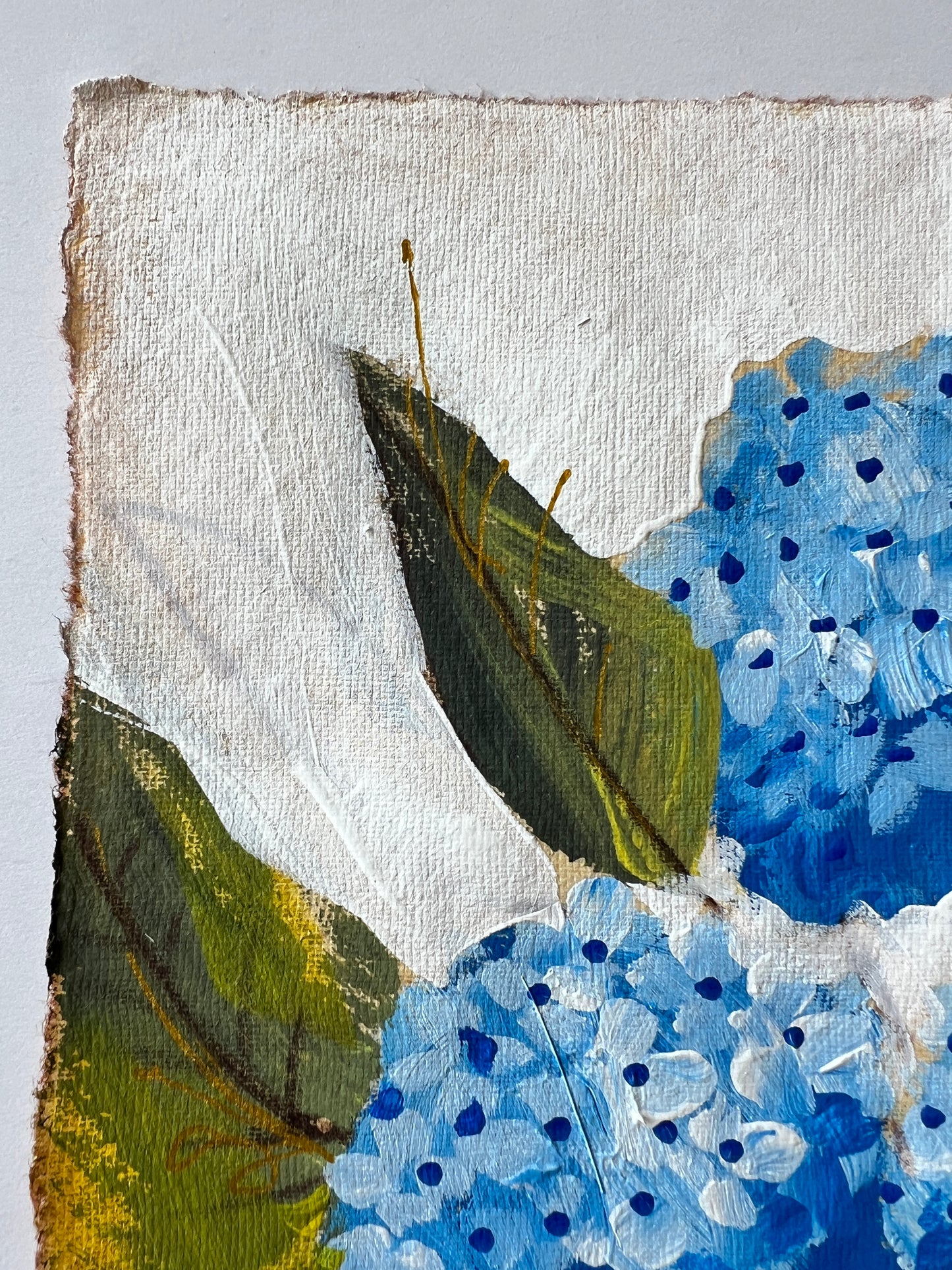 Blue Hydrangea 2