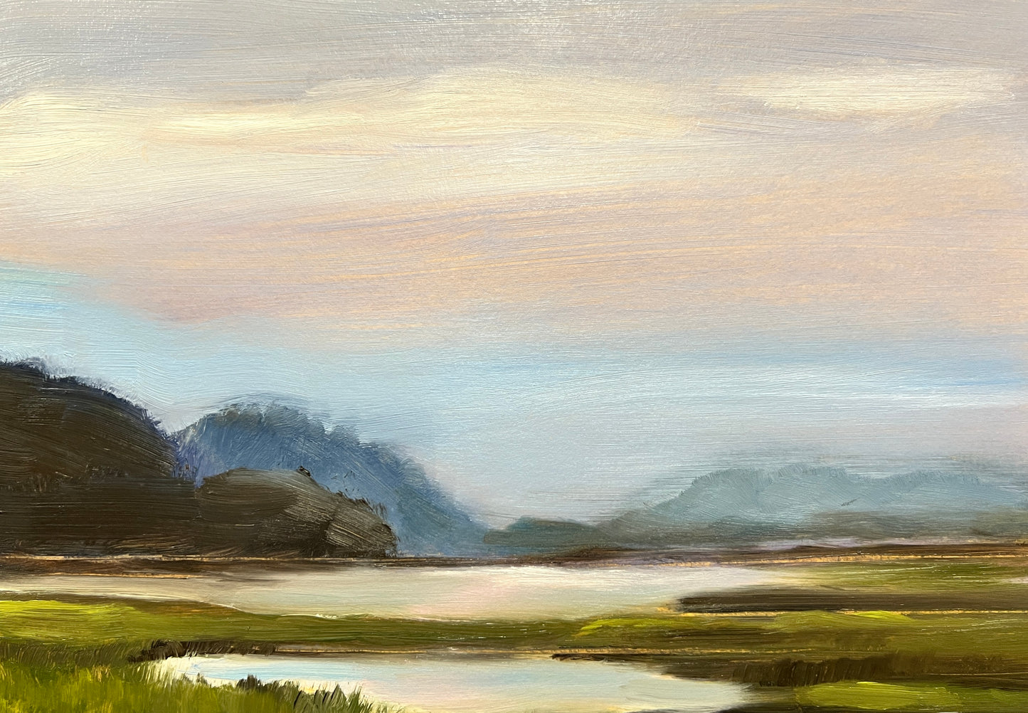 Misty Salt Bog