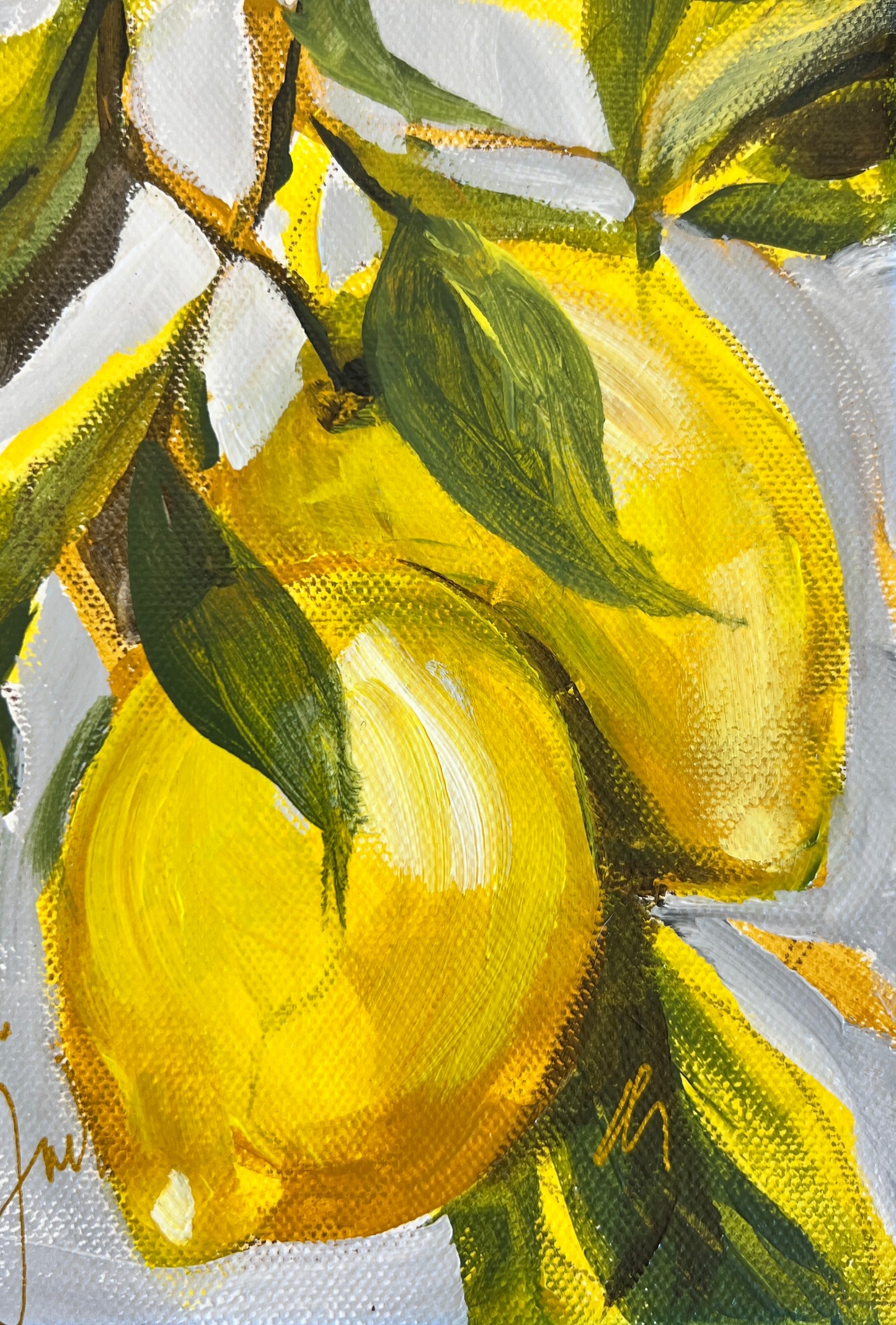 Yellow Lemons on French hot pressed paper