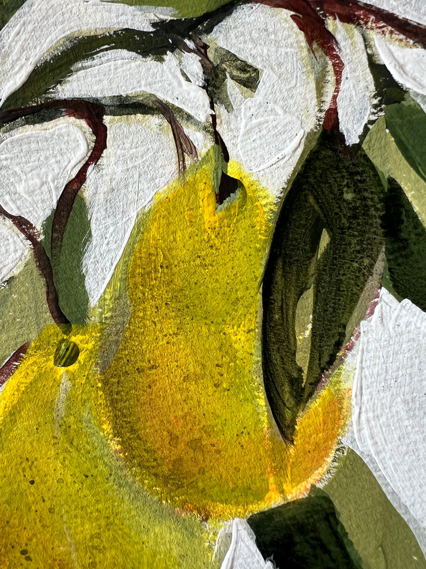 Yellow Pears on French hot pressed paper