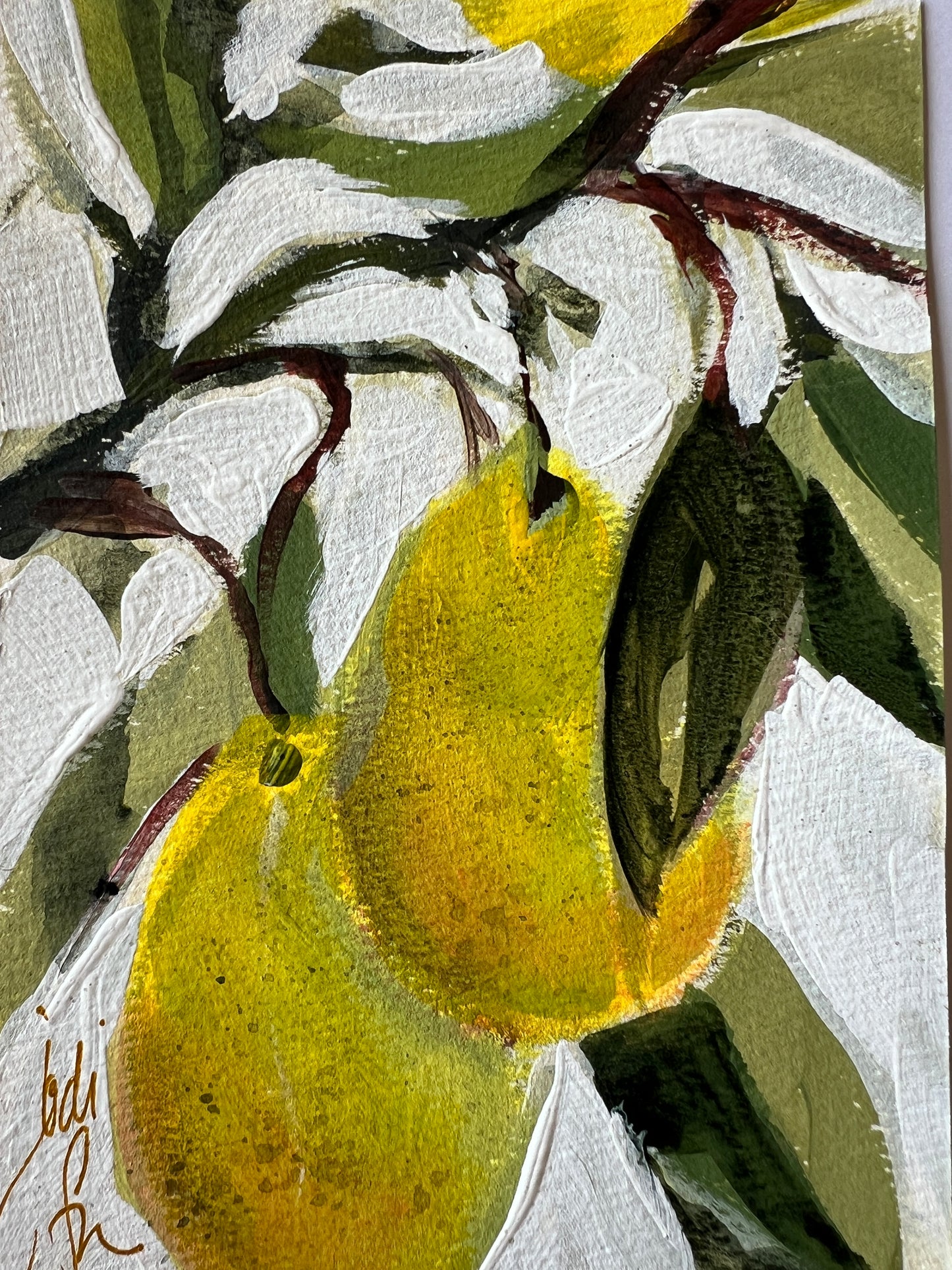 Yellow Pears on French hot pressed paper