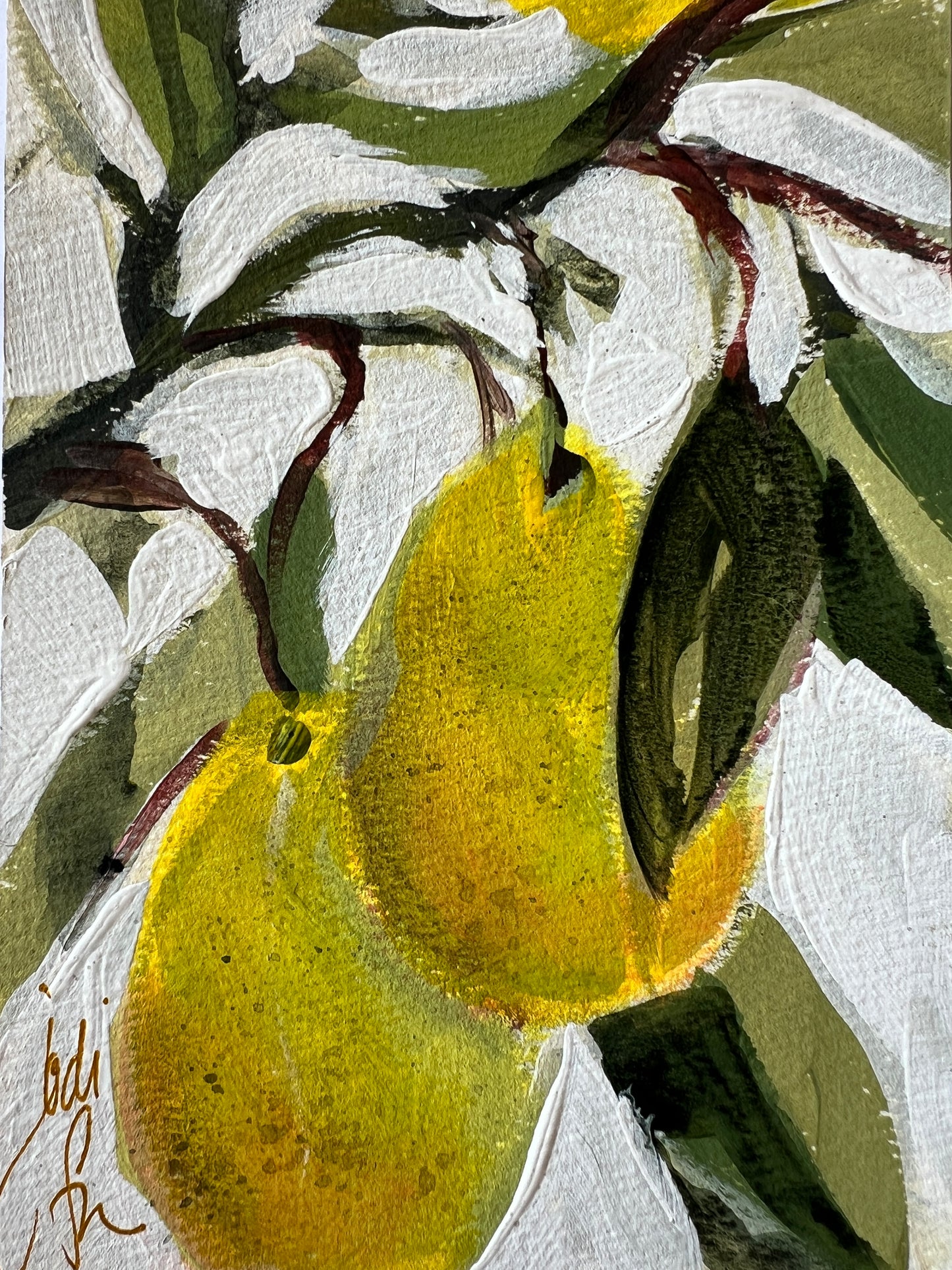 Yellow Pears on French hot pressed paper