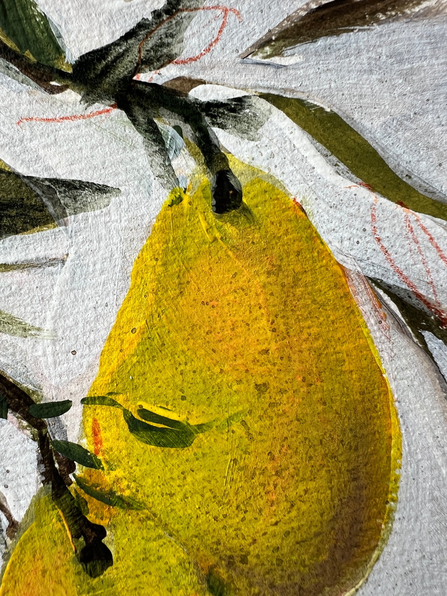 Yellow Pears 2 on French hot pressed paper