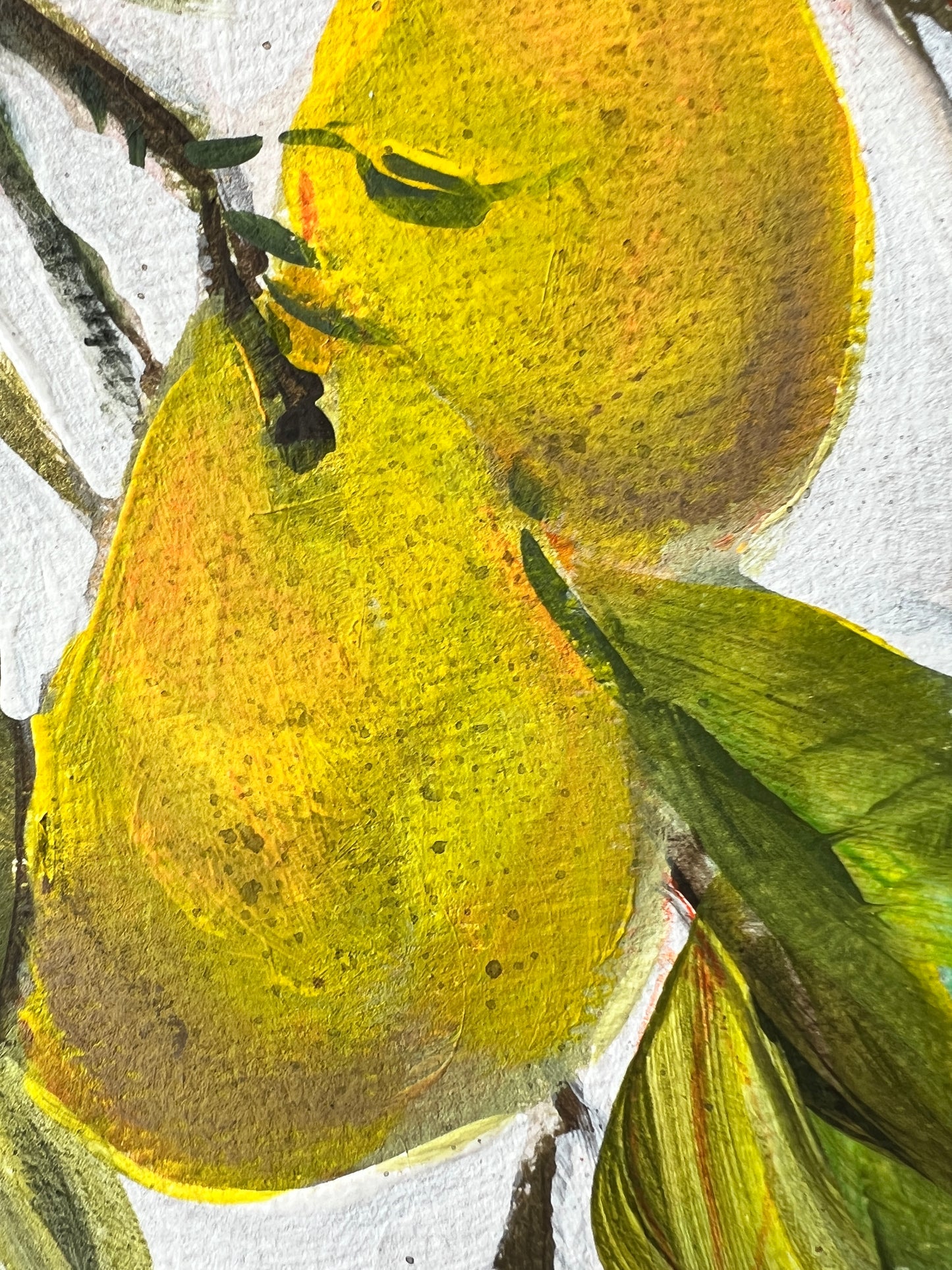 Yellow Pears 2 on French hot pressed paper